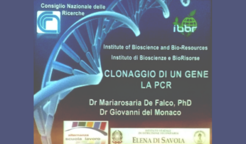 Microbiologia e Biotecnologie - CNR (2/5/2019 - 25/6/2019)