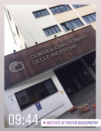 RicerchiAMO: la scienza in azione – IV edizione (26/9/2019)