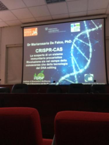 RicerchiAMO: la scienza in azione – IV edizione (26/9/2019)