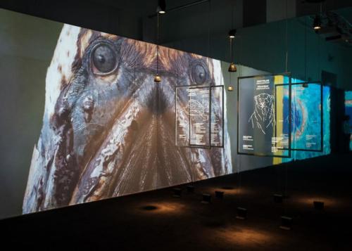 Capire il cambiamento climatico - MANN (10/11/2019)