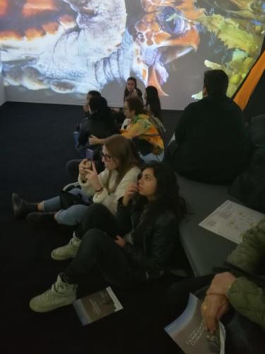 Capire il cambiamento climatico - MANN (10/11/2019)