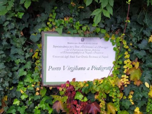 Mattinate FAI d’Inverno (27/11/2019)