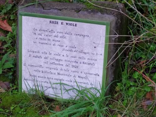 Mattinate FAI d’Inverno (27/11/2019)