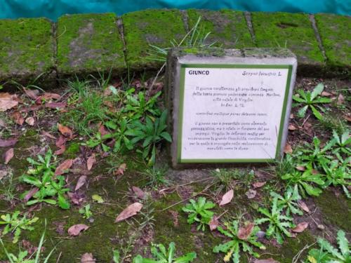 Mattinate FAI d’Inverno (27/11/2019)