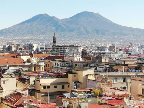 Open Day (14/12/2019)