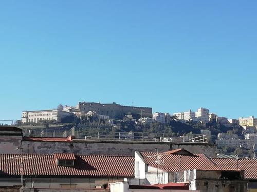 Open Day (14/12/2019)