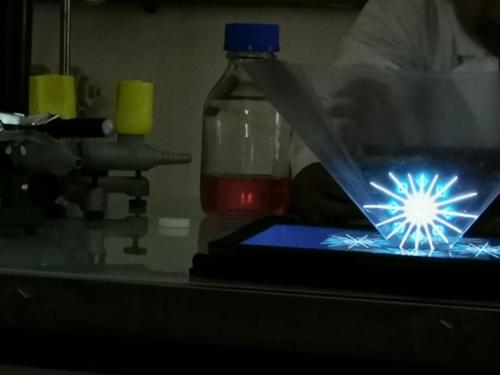 Open Day (11-12/01/2020)