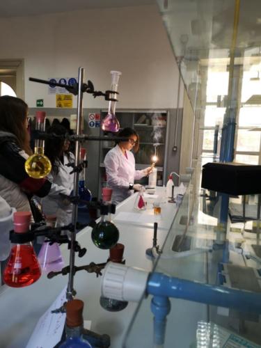 Open Day (11-12/01/2020)