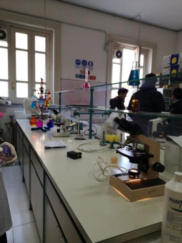 Open Day (11-12/01/2020)