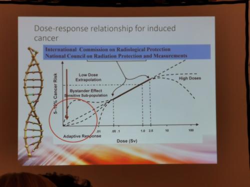 Seminario: “Le radiazioni ionizzanti: quando c'è da averne paura?” (16/01/2020)