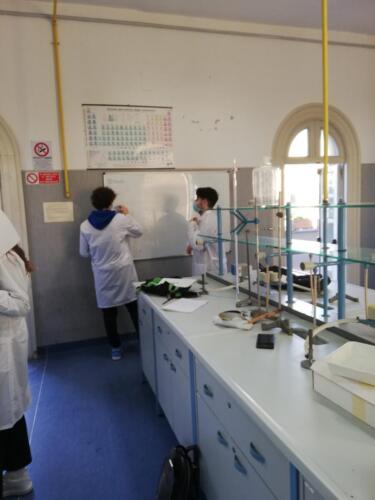 Estrazione di oli essenziali nel Laboratorio di Chimica (5/2/21)