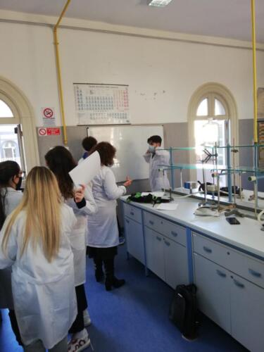 Estrazione di oli essenziali nel Laboratorio di Chimica (5/2/21)