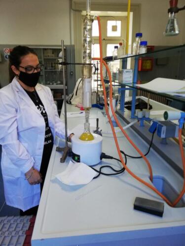Estrazione di oli essenziali nel Laboratorio di Chimica (5/2/21)