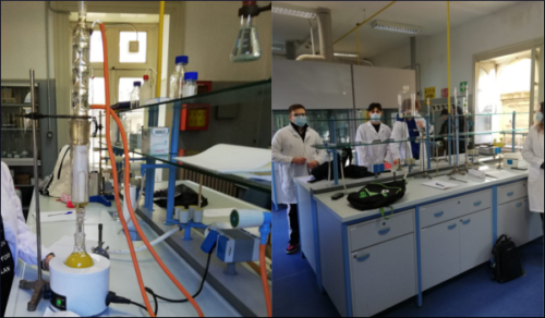 Estrazione di oli essenziali nel Laboratorio di Chimica (5/2/21)