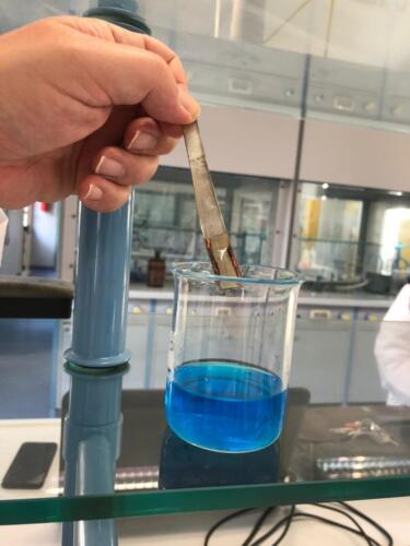 Laboratori di Chimica e Microbiologia: Pila Daniell e Terreni di coltura (8/2/21)