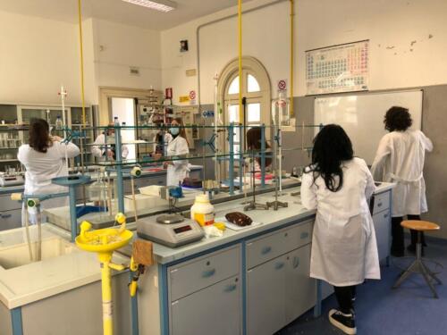 Laboratori di Chimica e Microbiologia: Pila Daniell e Terreni di coltura (8/2/21)