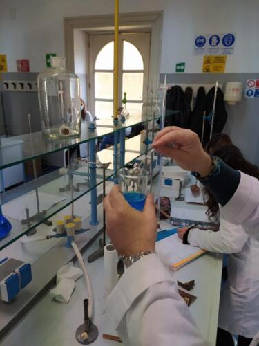 Laboratori di Chimica e Microbiologia: Pila Daniell e Terreni di coltura (8/2/21)