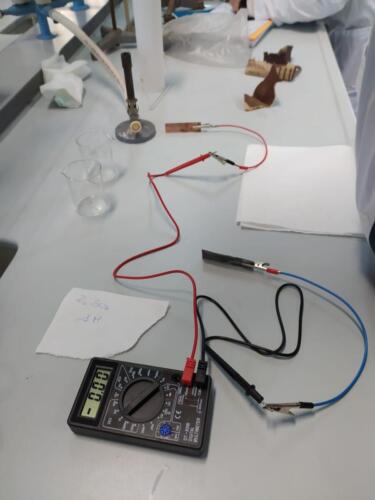 Laboratori di Chimica e Microbiologia: Pila Daniell e Terreni di coltura (8/2/21)