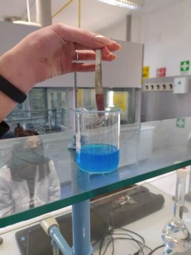 Laboratori di Chimica e Microbiologia: Pila Daniell e Terreni di coltura (8/2/21)