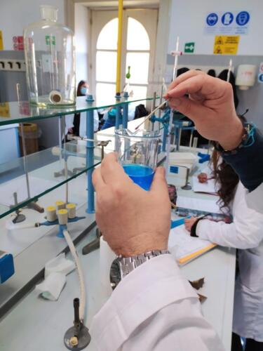 Laboratori di Chimica e Microbiologia: Pila Daniell e Terreni di coltura (8/2/21)