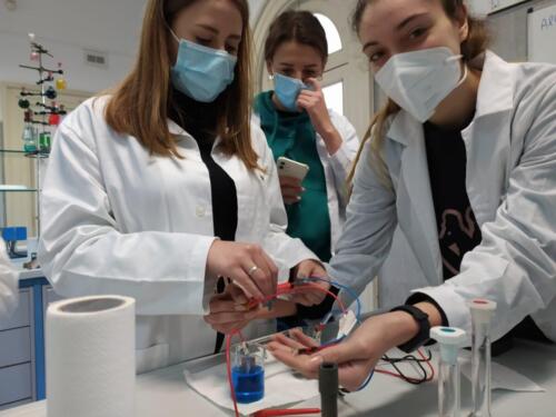 Laboratori di Chimica e Microbiologia: Pila Daniell e Terreni di coltura (8/2/21)