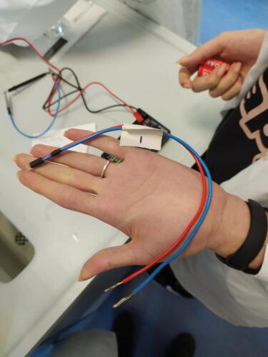 Laboratori di Chimica e Microbiologia: Pila Daniell e Terreni di coltura (8/2/21)