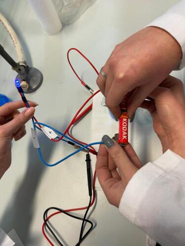 Laboratori di Chimica e Microbiologia: Pila Daniell e Terreni di coltura (8/2/21)