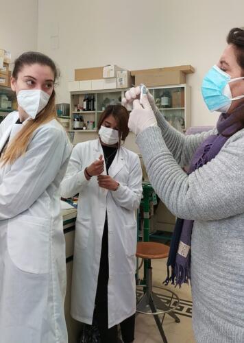 Laboratori di Chimica e Microbiologia: Pila Daniell e Terreni di coltura (8/2/21)