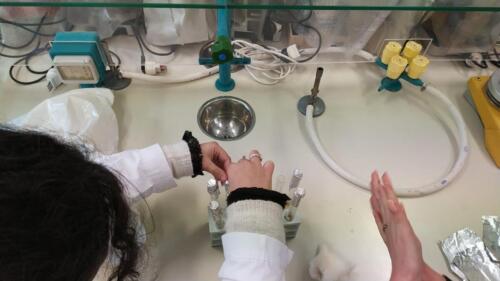 Laboratori di Chimica e Microbiologia: Pila Daniell e Terreni di coltura (8/2/21)