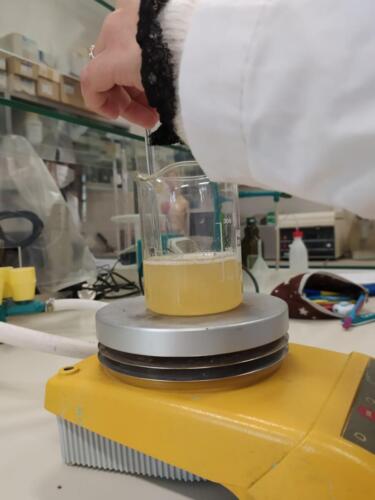 Laboratori di Chimica e Microbiologia: Pila Daniell e Terreni di coltura (8/2/21)