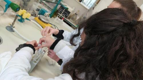 Laboratori di Chimica e Microbiologia: Pila Daniell e Terreni di coltura (8/2/21)