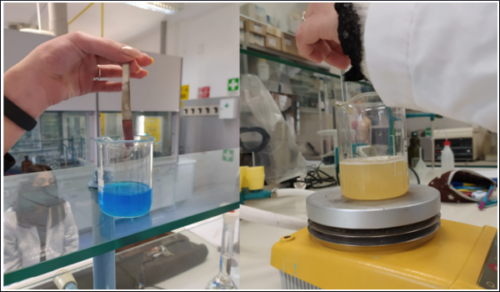 Laboratori di Chimica e Microbiologia: Pila Daniell e Terreni di coltura (8/2/21)