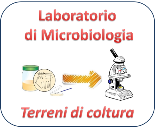 Laboratori di Chimica e Microbiologia: Pila Daniell e Terreni di coltura (8/2/21)