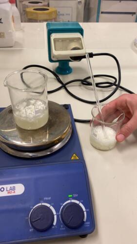 Precipitazione della caseina (10/2/21)