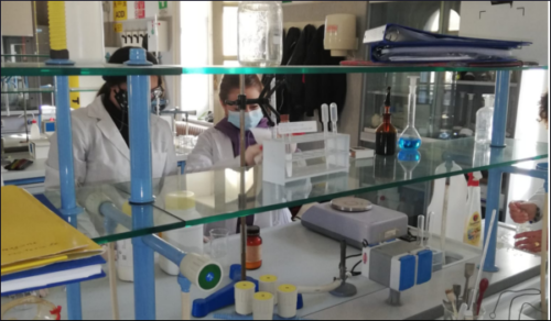 Riconoscimento proteine e zuccheri riducenti (19/2/21)