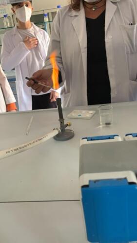 Laboratori di Fisica e Chimica 1ªA-CMB (27/4/2021)