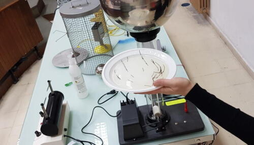 Laboratori di Fisica e Chimica 2ªA-CMB (27/4/2021)