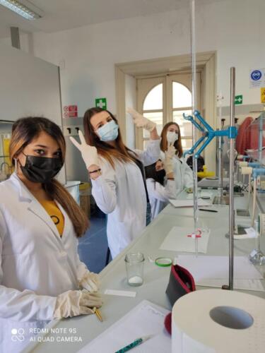 Cromatografia su strato sottile (TLC) e polarità dei solventi organici (7-14/5/2021)