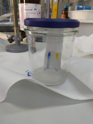 Cromatografia su strato sottile (TLC) e polarità dei solventi organici (7-14/5/2021)