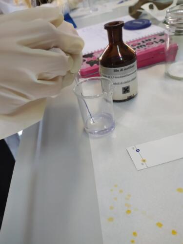 Cromatografia su strato sottile (TLC) e polarità dei solventi organici (7-14/5/2021)