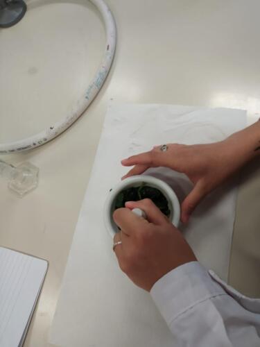 Cromatografia su strato sottile (TLC) e polarità dei solventi organici (7-14/5/2021)