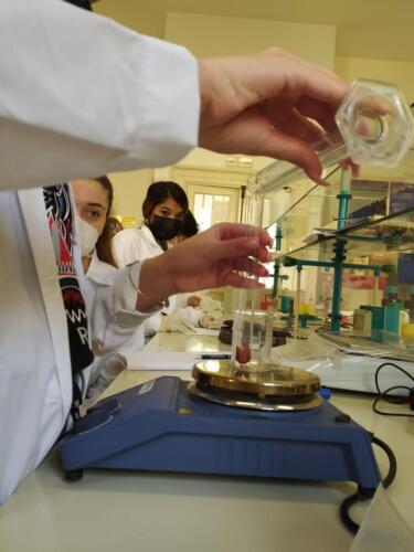 Cromatografia su strato sottile (TLC) e polarità dei solventi organici (7-14/5/2021)