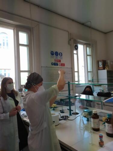 Cromatografia su strato sottile (TLC) e polarità dei solventi organici (7-14/5/2021)