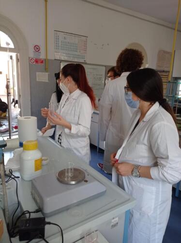 Estrazione del DNA (13/5/2021)