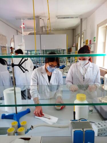 Estrazione del DNA (13/5/2021)