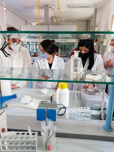 Estrazione del DNA (13/5/2021)