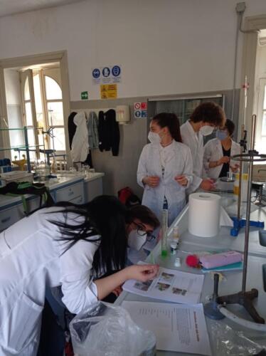 Estrazione del DNA (13/5/2021)