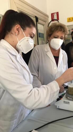 Estrazione del DNA (13/5/2021)