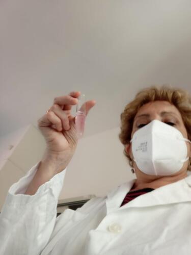 Estrazione del DNA (13/5/2021)