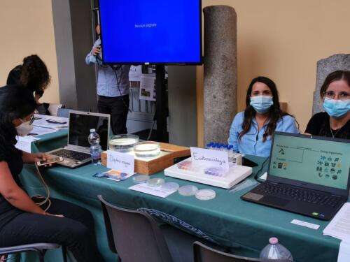 La notte europea dei ricercatori (24/9/2021)